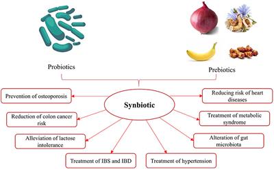 An insight to potential application of synbiotic edible films and coatings in food products